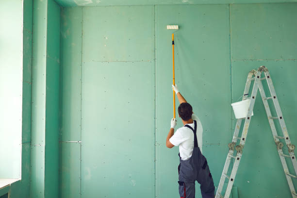 Professional Mold Removal in Newaygo, MI