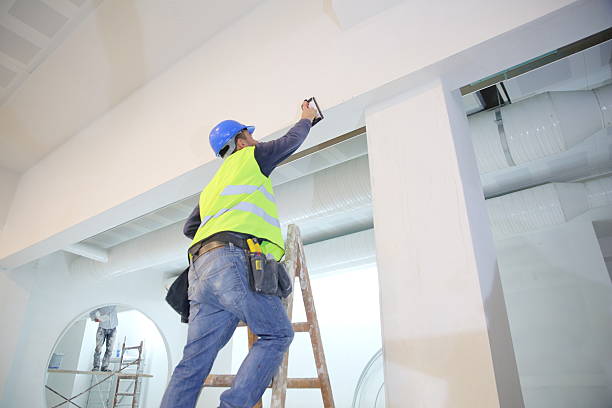Best Biohazard Mold Removal  in Newaygo, MI