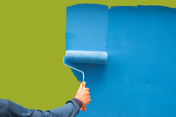 Best Post-Construction Mold Inspection  in Newaygo, MI
