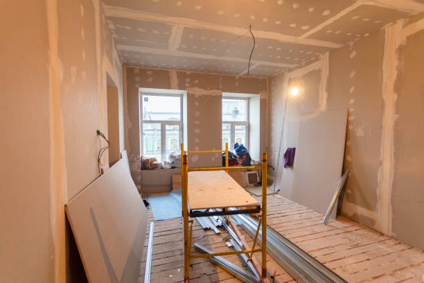 Best Emergency Mold Remediation  in Newaygo, MI